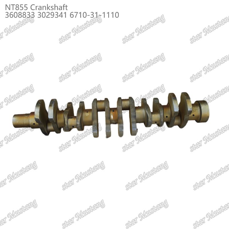 Crankshaft NT855 Aço forjado 3608833 3029341 6710-31-1110 Para peças de motores a diesel Cummins