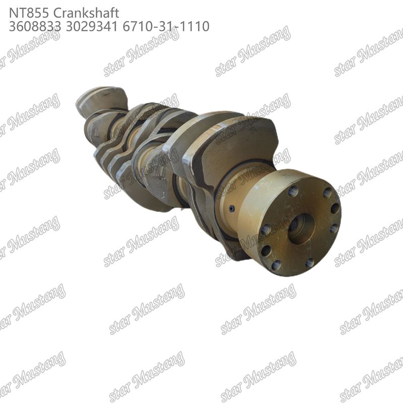 Crankshaft NT855 Aço forjado 3608833 3029341 6710-31-1110 Para peças de motores a diesel Cummins
