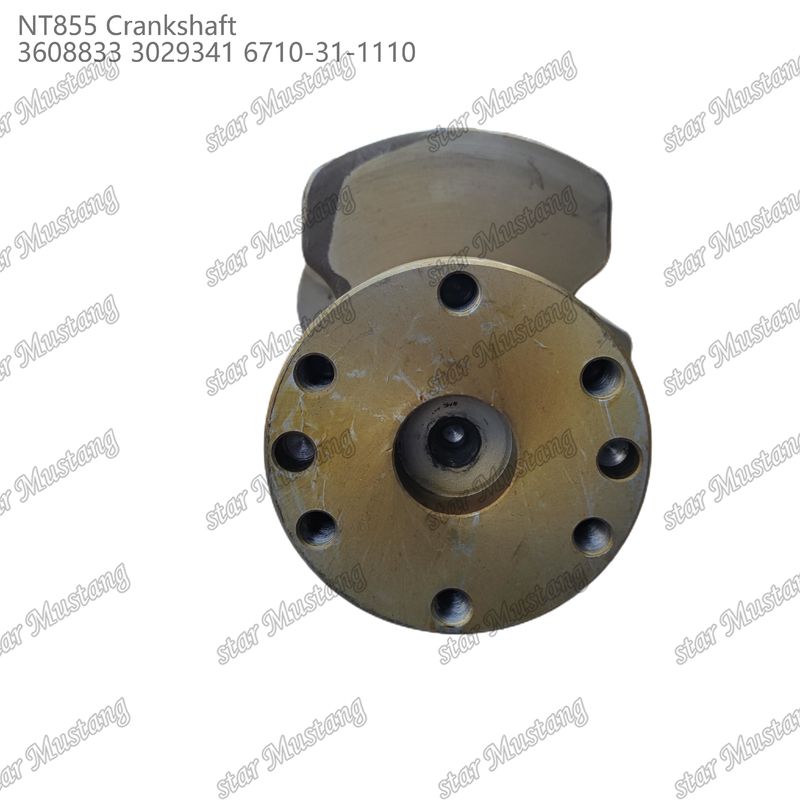 Crankshaft NT855 Aço forjado 3608833 3029341 6710-31-1110 Para peças de motores a diesel Cummins
