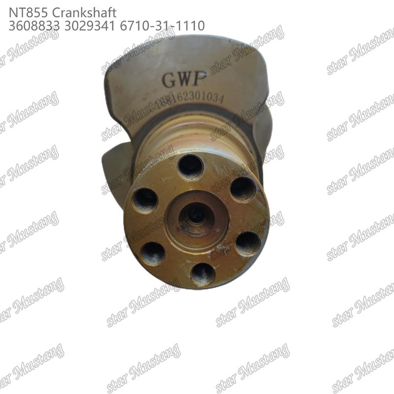 Crankshaft NT855 Aço forjado 3608833 3029341 6710-31-1110 Para peças de motores a diesel Cummins