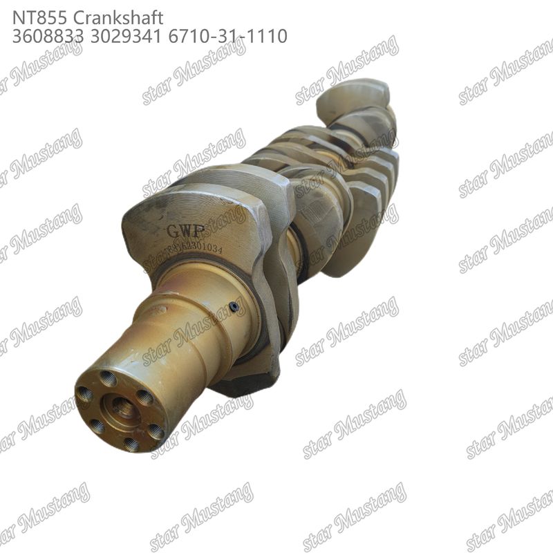 Crankshaft NT855 Aço forjado 3608833 3029341 6710-31-1110 Para peças de motores a diesel Cummins