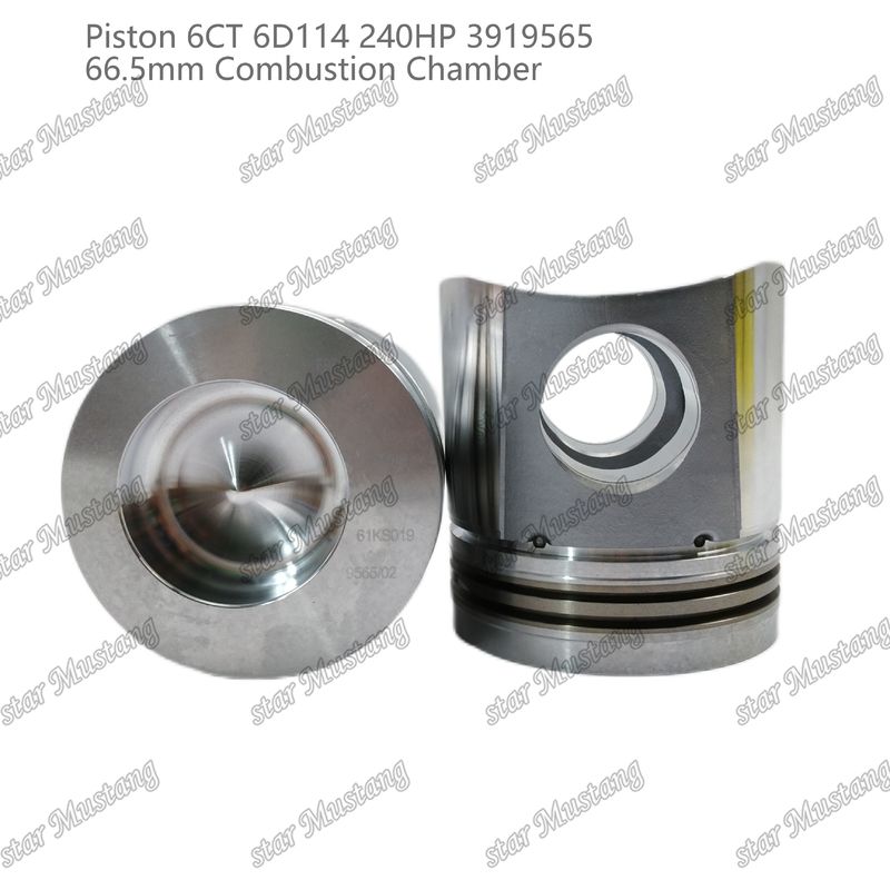Pisto 6CT 6D114 240HP 3919565 66,5 mm Câmara de combustão para peças de reparo de motores a diesel Cummins