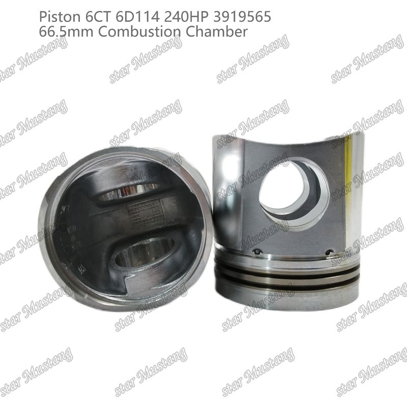 Pisto 6CT 6D114 240HP 3919565 66,5 mm Câmara de combustão para peças de reparo de motores a diesel Cummins