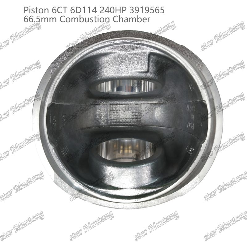Pisto 6CT 6D114 240HP 3919565 66,5 mm Câmara de combustão para peças de reparo de motores a diesel Cummins