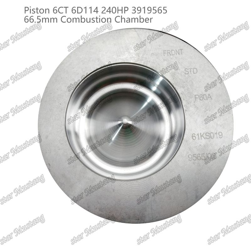 Pisto 6CT 6D114 240HP 3919565 66,5 mm Câmara de combustão para peças de reparo de motores a diesel Cummins