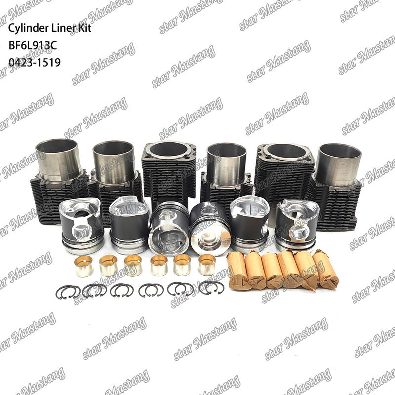 Kit de revestimento do tipo motor diesel em estado novo para BF6L913C 0423-1519