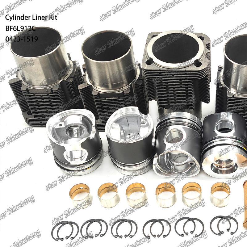 Kit de revestimento do tipo motor diesel em estado novo para BF6L913C 0423-1519