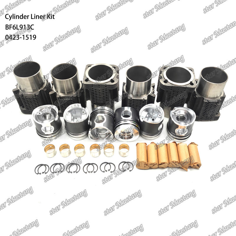 Kit de revestimento do tipo motor diesel em estado novo para BF6L913C 0423-1519
