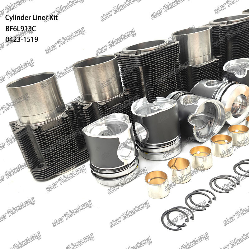 Kit de revestimento do tipo motor diesel em estado novo para BF6L913C 0423-1519