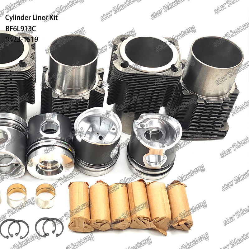 Kit de revestimento do tipo motor diesel em estado novo para BF6L913C 0423-1519