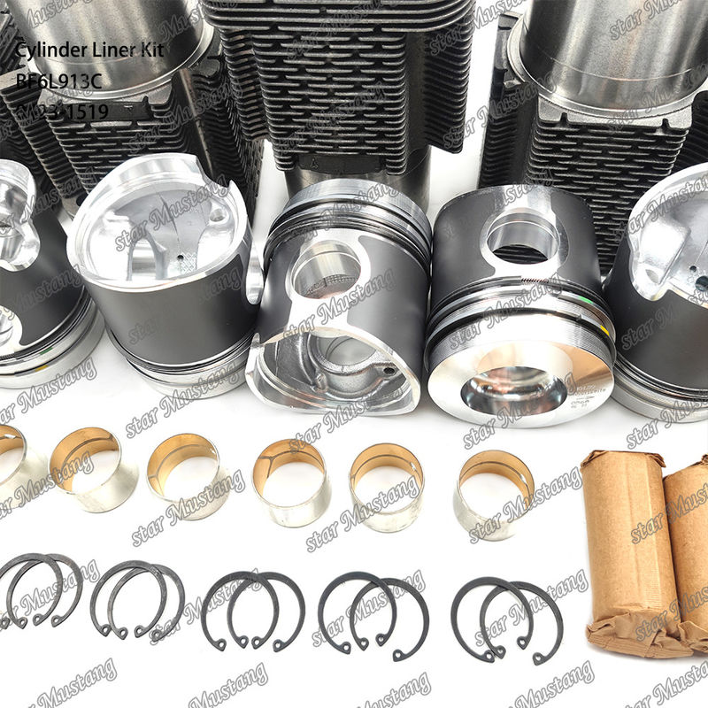 Kit de revestimento do tipo motor diesel em estado novo para BF6L913C 0423-1519
