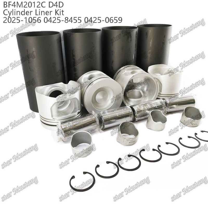 Kit de pistões do motor para veículos pesados BF4M2012C D4D 2025-1056 0425-8455 0425-0659