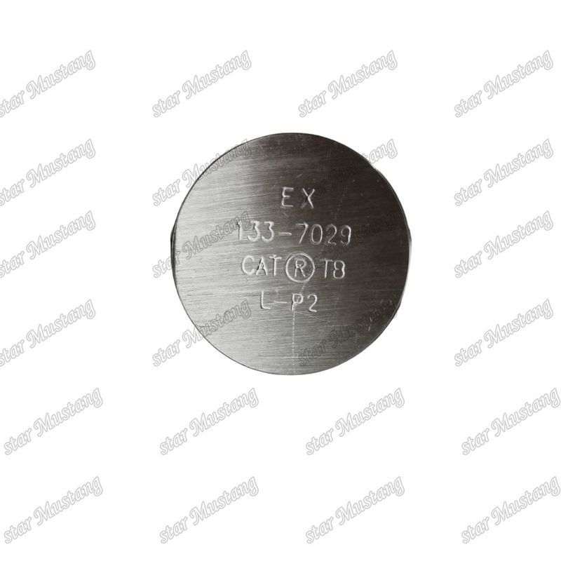 3176C C10 IN 7E9578 EX 133-7029 Válvula para peças sobressalentes de motores Caterpillar