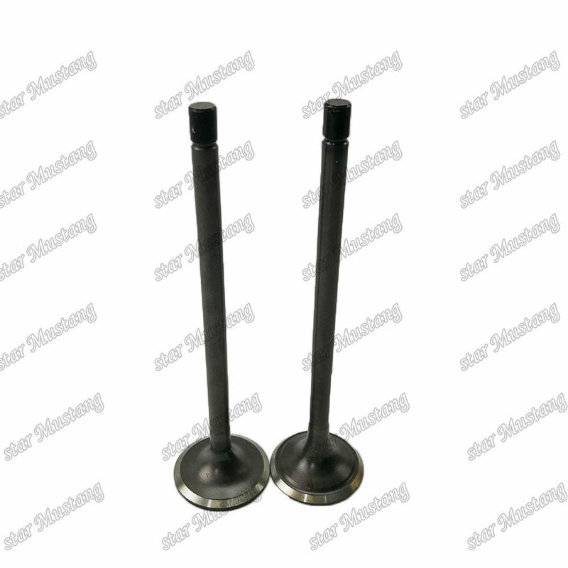 Valva 6D125 6D125-N 6150-42-4110 6150-42-4210 Adequada para peças sobressalentes de motores Komatsu