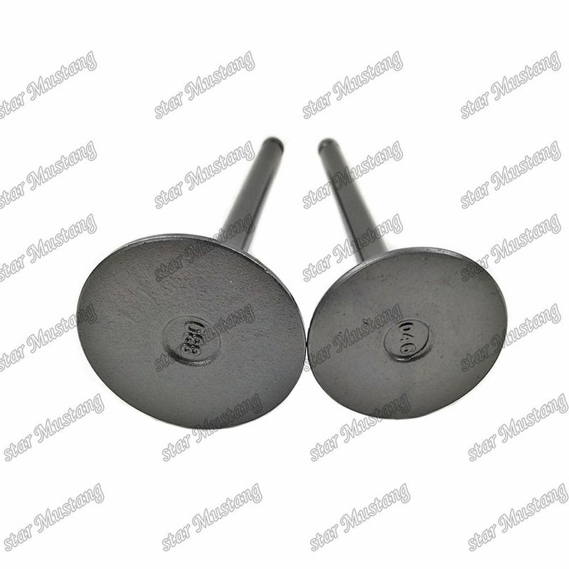 Valva 3KR1 8941190881 8-94119088-1 5125520462 5-12552046-2 Para peças sobressalentes de motores Isuzu