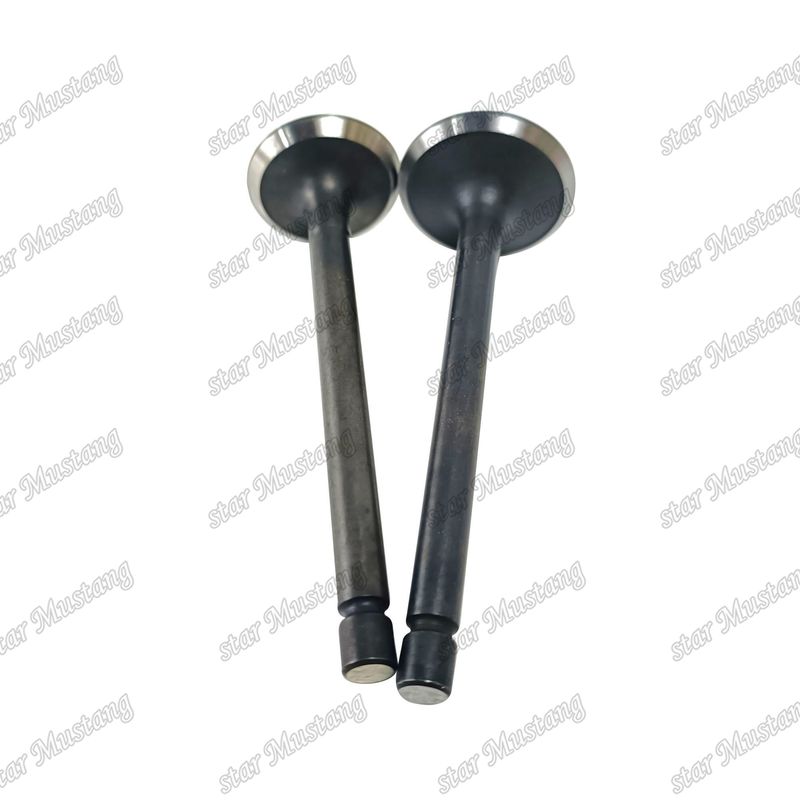Valva 3LA1 8-97102-123-0 8-97045-410-2 Adequada para peças de reposição de motores Isuzu