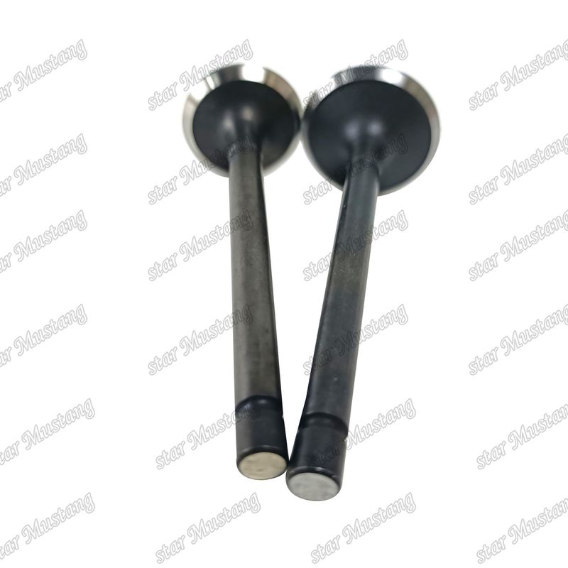 Valva 3LA1 8-97102-123-0 8-97045-410-2 Adequada para peças de reposição de motores Isuzu