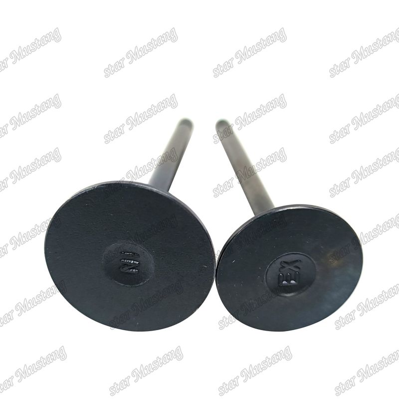 Valva 3LA1 8-97102-123-0 8-97045-410-2 Adequada para peças de reposição de motores Isuzu