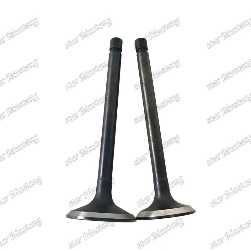 Valva 3LA1 8-97102-123-0 8-97045-410-2 Adequada para peças de reposição de motores Isuzu