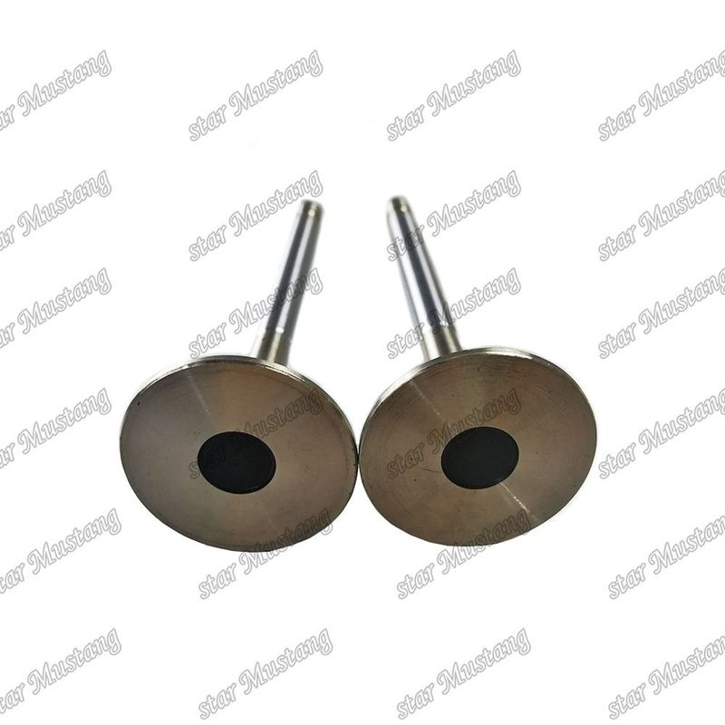 Valva 4HL1 IN 8-94395-113-1 EX 8-94395-462-0 Adequada para peças sobressalentes de motores Isuzu