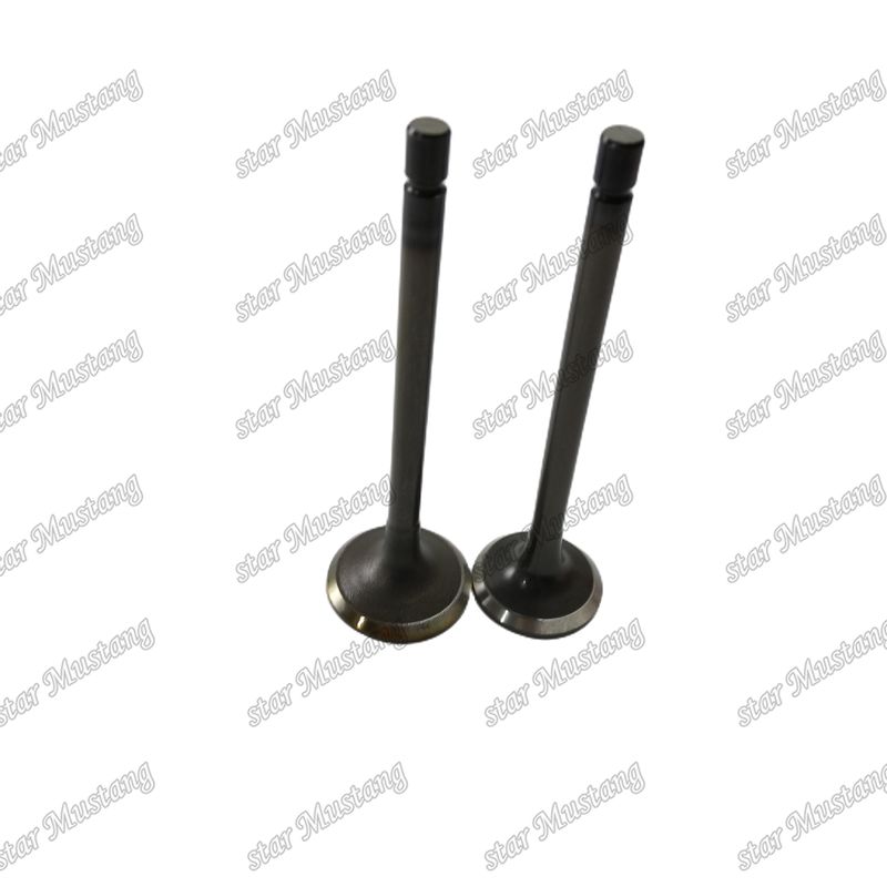 Válvula 4JJ1 8-97309-675-1 8-97309-677-1 para peças sobressalentes de motores Isuzu