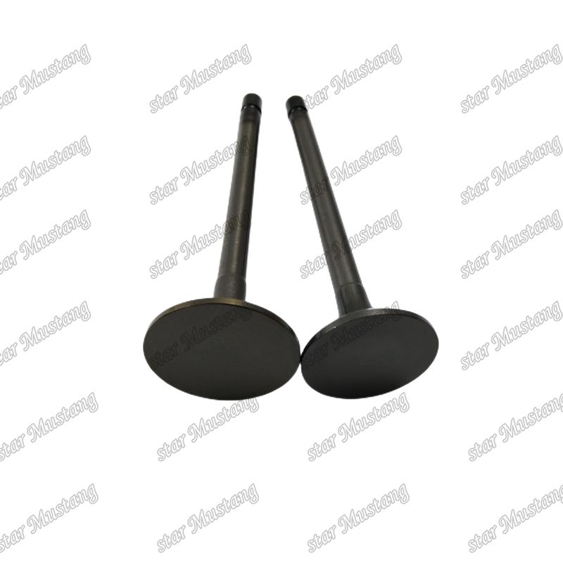 Válvula 4JJ1 8-97309-675-1 8-97309-677-1 para peças sobressalentes de motores Isuzu