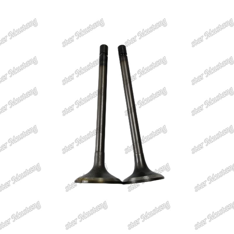 Válvula 4JJ1 8-97309-675-1 8-97309-677-1 para peças sobressalentes de motores Isuzu