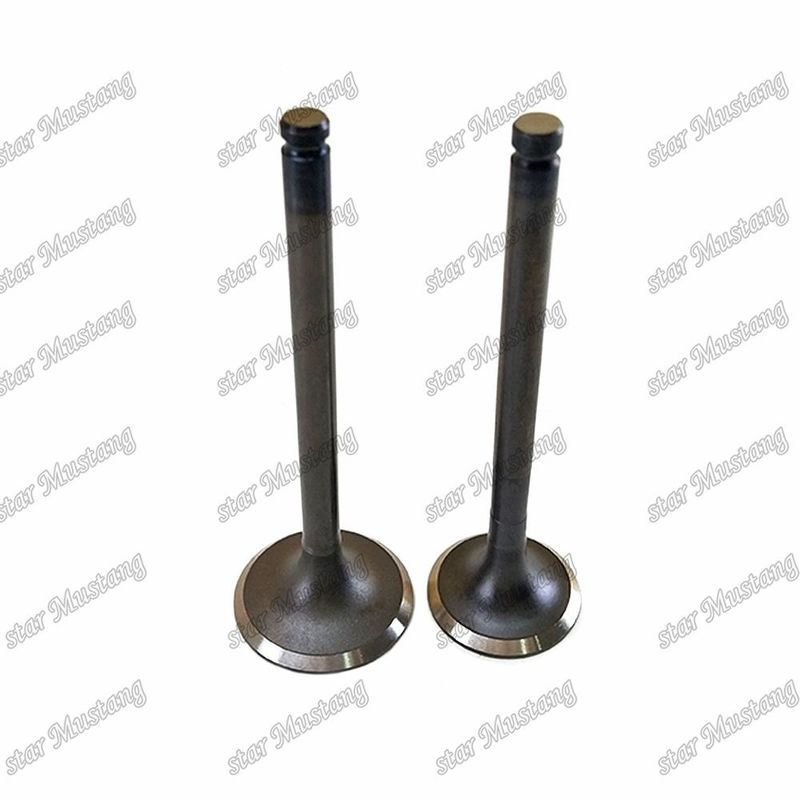 Valva C240 IN 5-12551-028-0 EX 5-12552-034-0 Adequada para peças sobressalentes de motores Isuzu