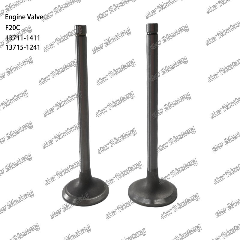 Válvula de motor F20C 13711-1411 13715-1241 Adequada para peças de reposição de motores Hino