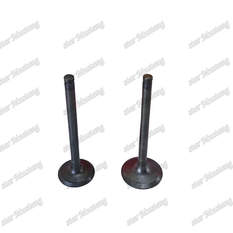 Partes sobressalentes de motores Hino W04D IN 13711-1430 EX 13715-1260 Válvula para veículos a diesel