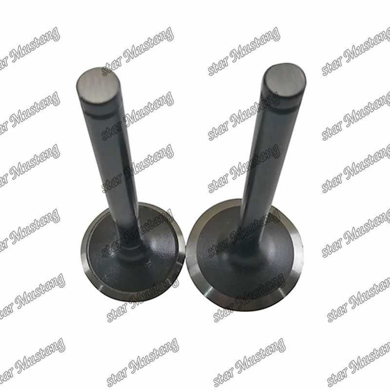 Valva W06D W06E 13711-1521 13715-1570 Adequada para Peças sobressalentes de motores Hino