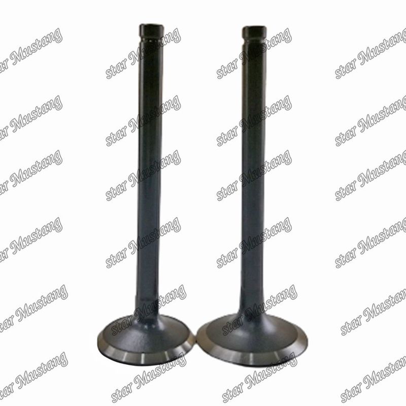Valva W06D W06E 13711-1521 13715-1570 Adequada para Peças sobressalentes de motores Hino