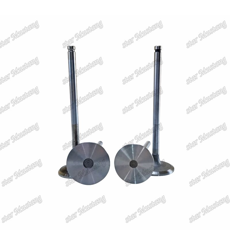 Valva D1146 IN 65.01611-2031 EX 65.04101-0042 Adequada para peças sobressalentes do motor Doosan