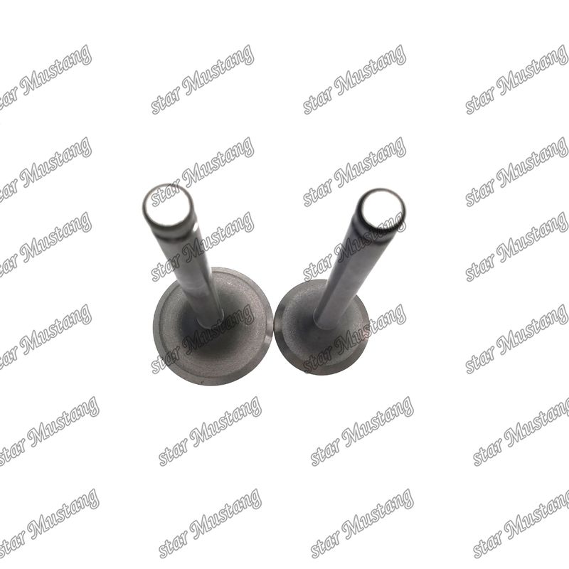 Válvula do motor DB33 65.02500-0001 65.02500-0002 Adequado para peças de reposição do motor Doosan