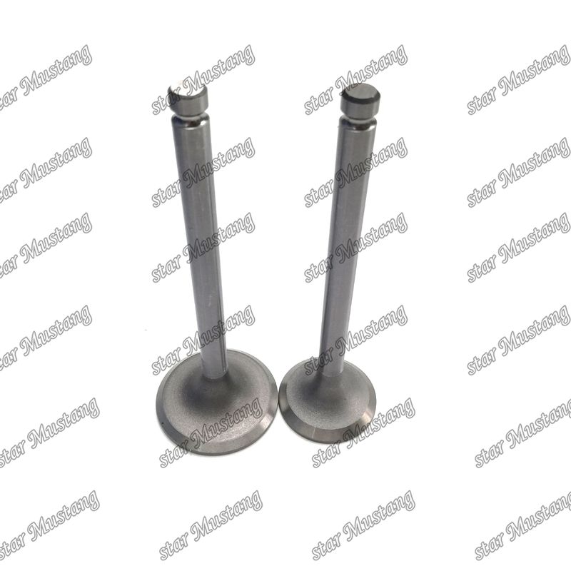 Válvula do motor DB33 65.02500-0001 65.02500-0002 Adequado para peças de reposição do motor Doosan