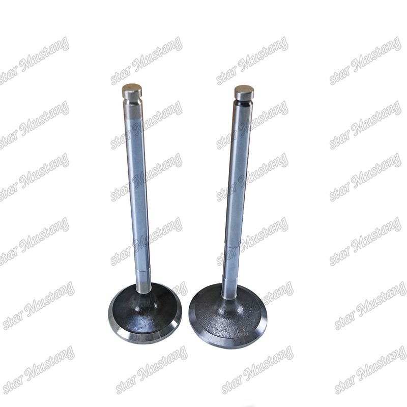 Valva diesel DE08 IN 65.01611-2031 EX 65.01611-2042 Adequada para peças sobressalentes de motores Doosan