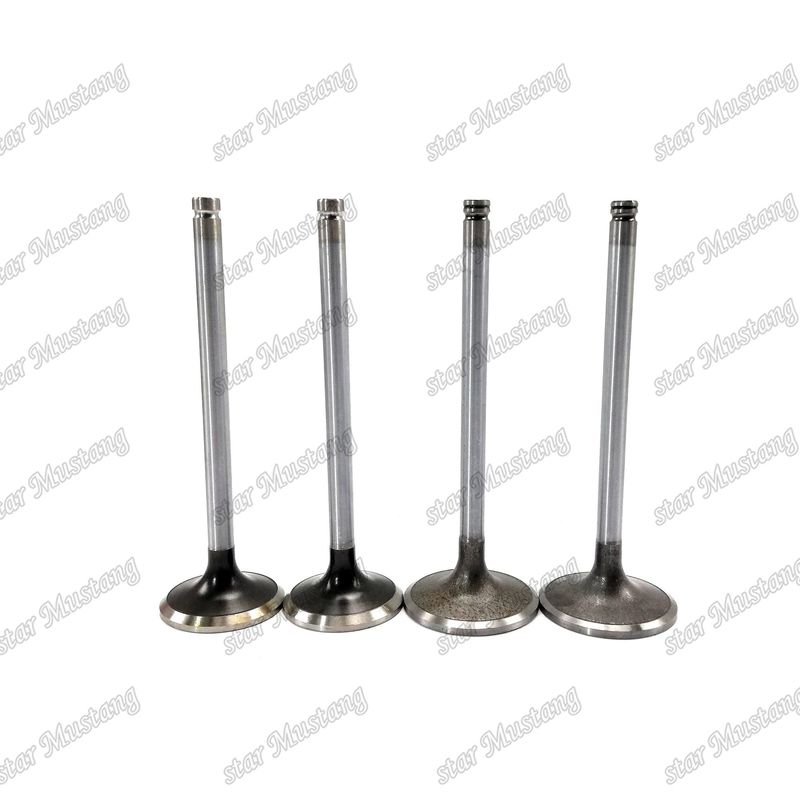 Valva 6D114 6CT 6CT8.3 Entrada 3924492 Saída 3921444 Adequada para peças de reposição de motores Cummins