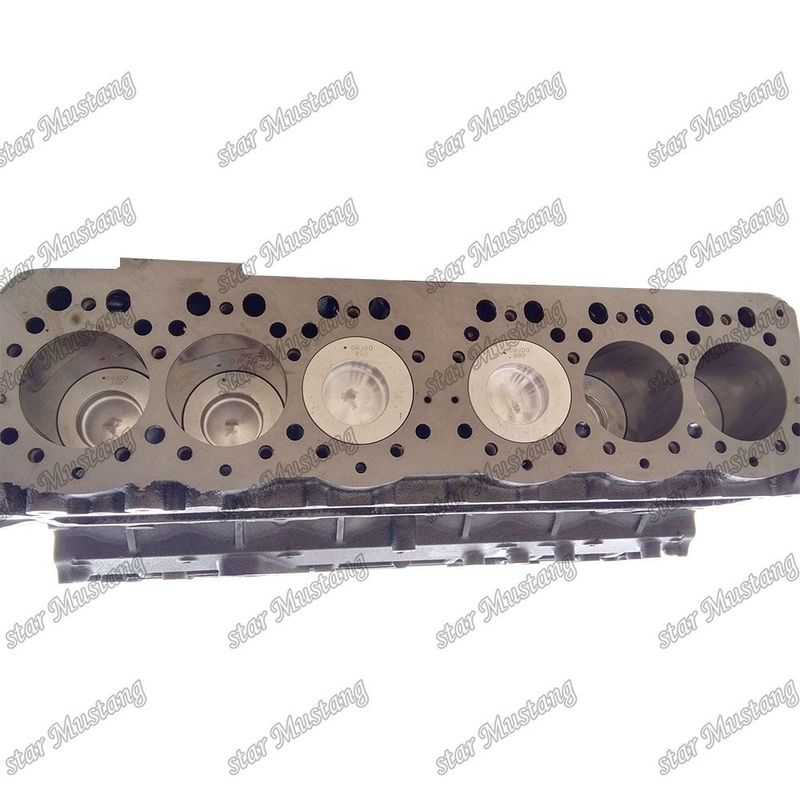 Estrutura integral Bloco curto S6K 5I7613 34307-01010 Parte do motor diesel para desempenho e 6 meses