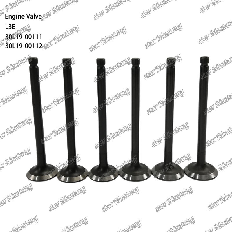 L3E 30L19-00111 30L19-00112 válvula de motor diesel adequada para peças de reposição Mitsubishi
