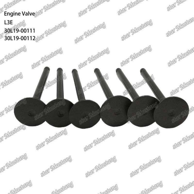 L3E 30L19-00111 30L19-00112 válvula de motor diesel adequada para peças de reposição Mitsubishi