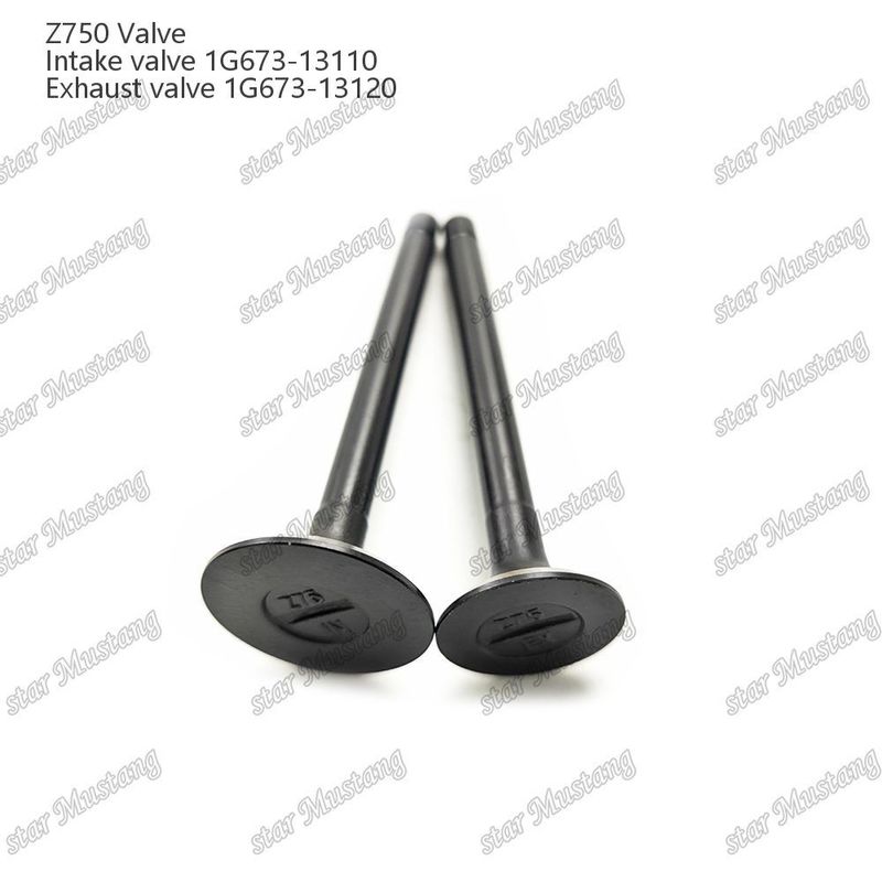Valva de estrutura integral Z750 1G673-13110 1G673-13120 Parte do motor diesel Original Stock com suporte online Após