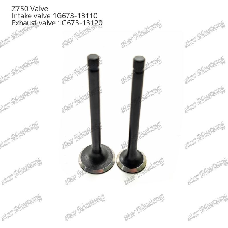 Valva de estrutura integral Z750 1G673-13110 1G673-13120 Parte do motor diesel Original Stock com suporte online Após