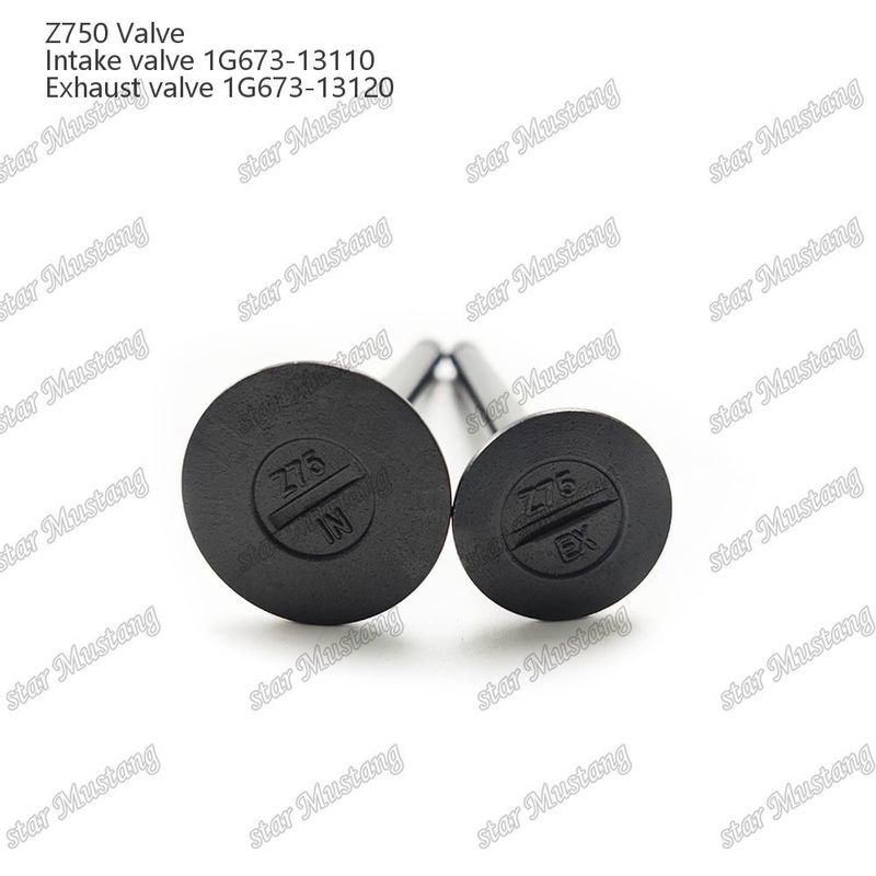 Valva de estrutura integral Z750 1G673-13110 1G673-13120 Parte do motor diesel Original Stock com suporte online Após