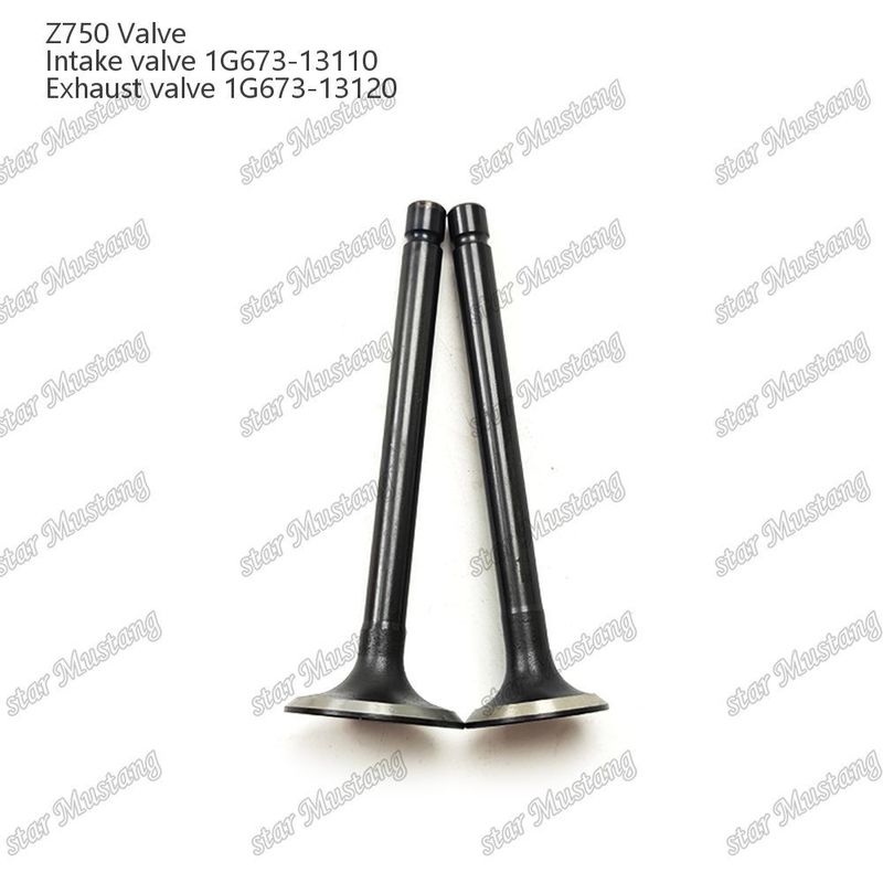 Valva de estrutura integral Z750 1G673-13110 1G673-13120 Parte do motor diesel Original Stock com suporte online Após