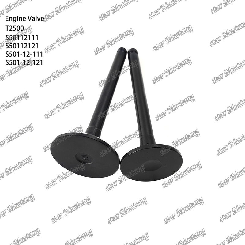 Válvula de estrutura integral T2500 S50112111 S50112121 S501-12-111 S501-12-121 Parte do motor diesel Original Stock com suporte online Após
