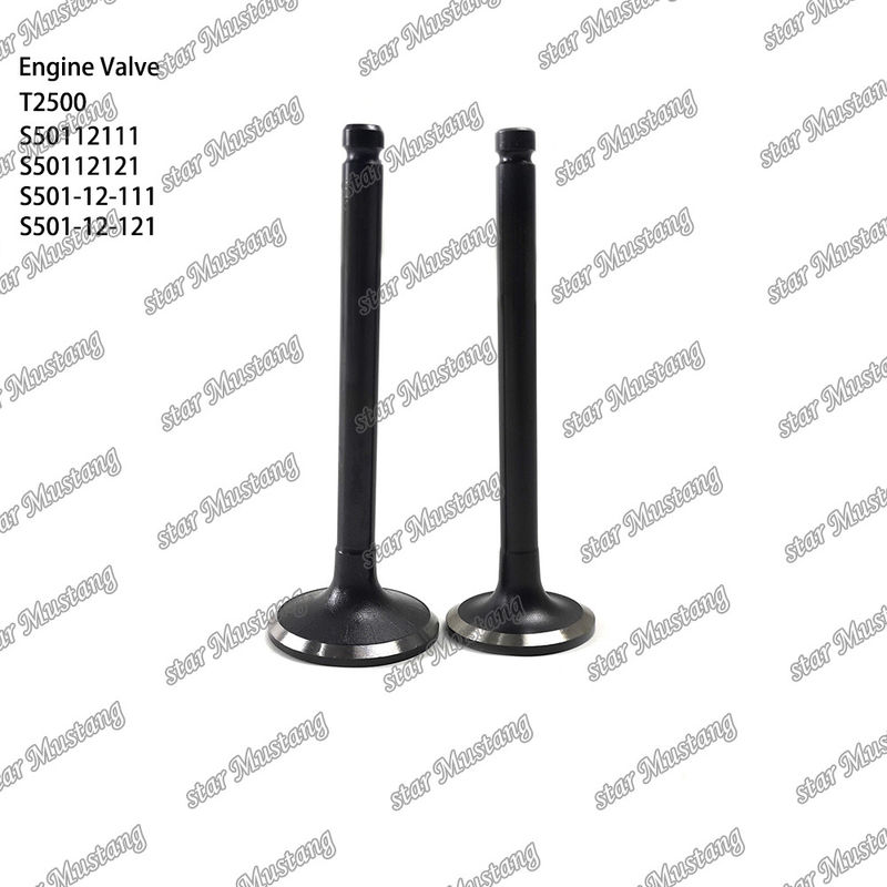 Válvula de estrutura integral T2500 S50112111 S50112121 S501-12-111 S501-12-121 Parte do motor diesel Original Stock com suporte online Após