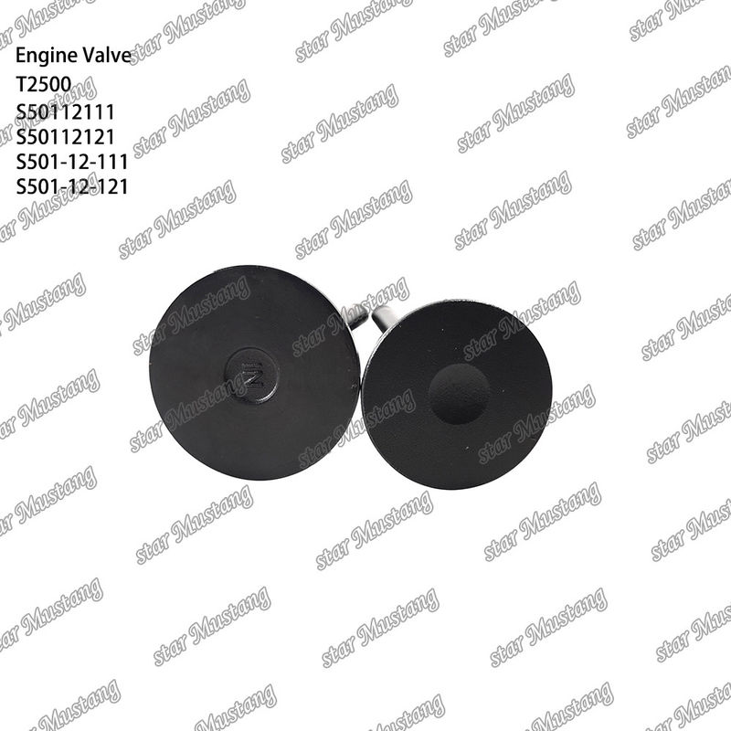 Válvula de estrutura integral T2500 S50112111 S50112121 S501-12-111 S501-12-121 Parte do motor diesel Original Stock com suporte online Após