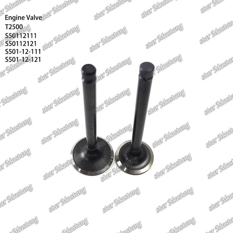 Válvula de estrutura integral T2500 S50112111 S50112121 S501-12-111 S501-12-121 Parte do motor diesel Original Stock com suporte online Após