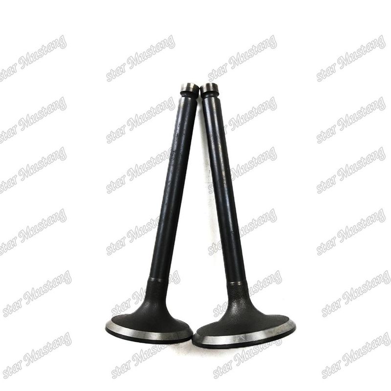 Válvula de Estrutura Integral T3000 Parte do Motor Diesel Original Stock com suporte online Após