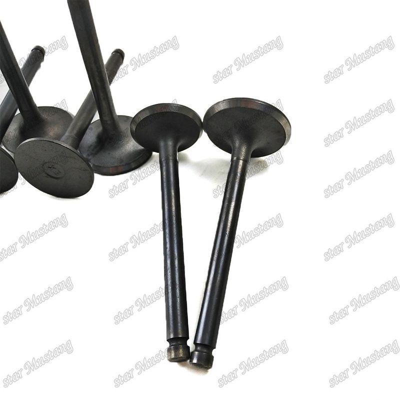 Válvula de Estrutura Integral T3000 Parte do Motor Diesel Original Stock com suporte online Após